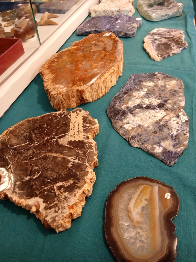 plaques-tranches-minerales-agate-bois-silicifie-St-Pol-de-Leon
